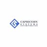 Capricorn Systems Global Solutions Ltd company logo