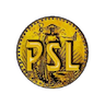 Pincon Spirit Ltd. company logo